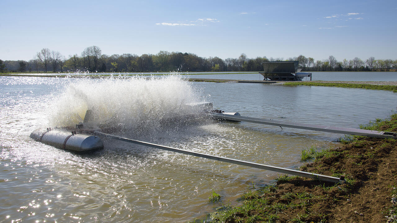 A pond with a surface aerator.