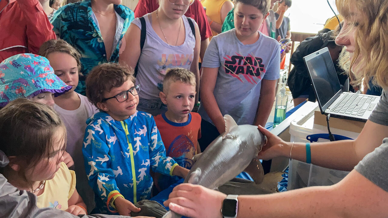 Children feel the skin of a shark held by a marine fisheries biologist.
