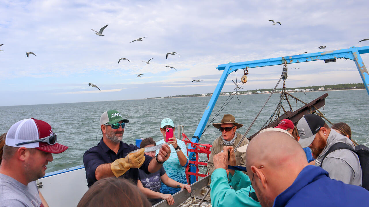 Mississippi State University Extension marine fisheries specialist Marcus Drymon shows a trawl-caught cutlassfish to fishermen during a 2022 field excursion. (Photo by MSU Extension/Marine Fisheries Ecology)