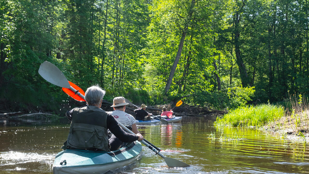 Two canoes are paddled down a small, forested stream.