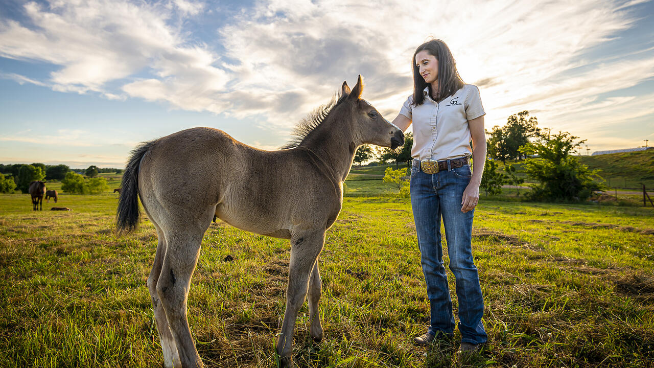 A woman stands in a field with a colt.