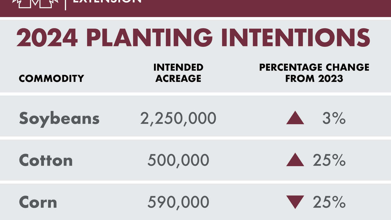 2024 planting intentions figures for Mississippi