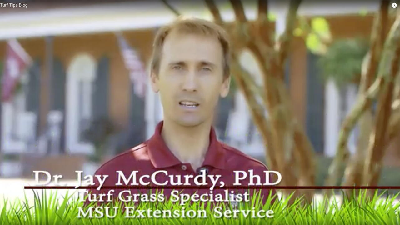 headshot of Dr. Jay McCurdy, PhD