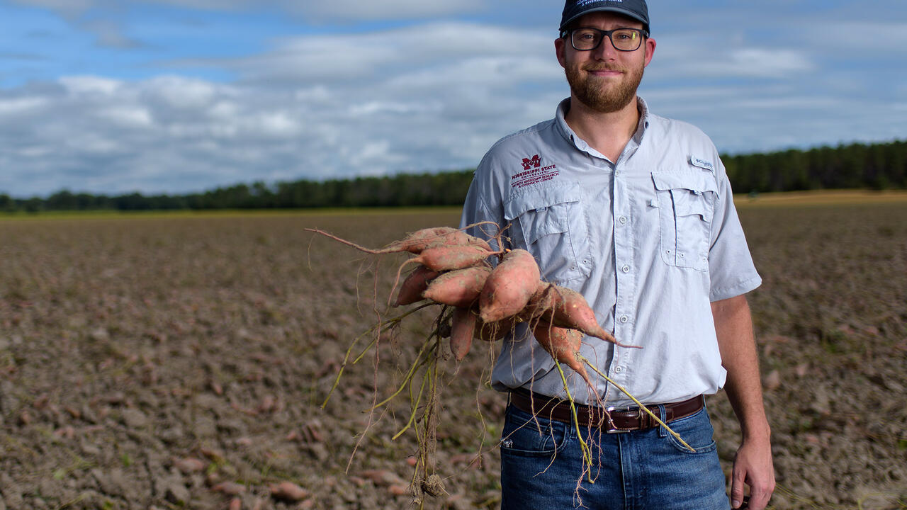 A man stands in a field with sweet potatoes in his hand.