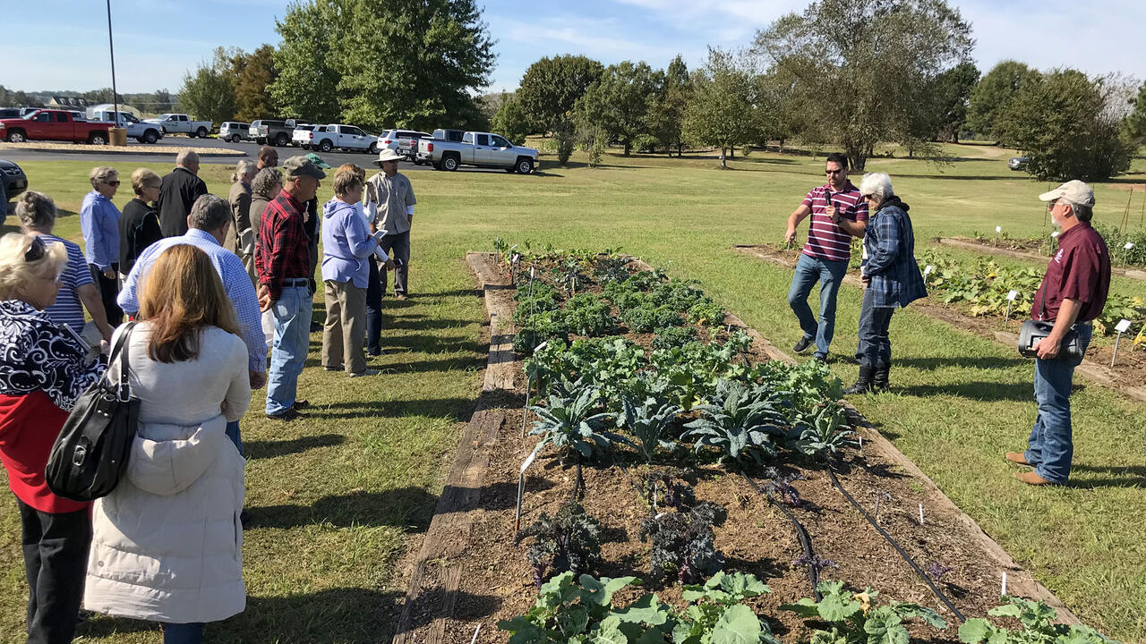 People look at plants in a garden.