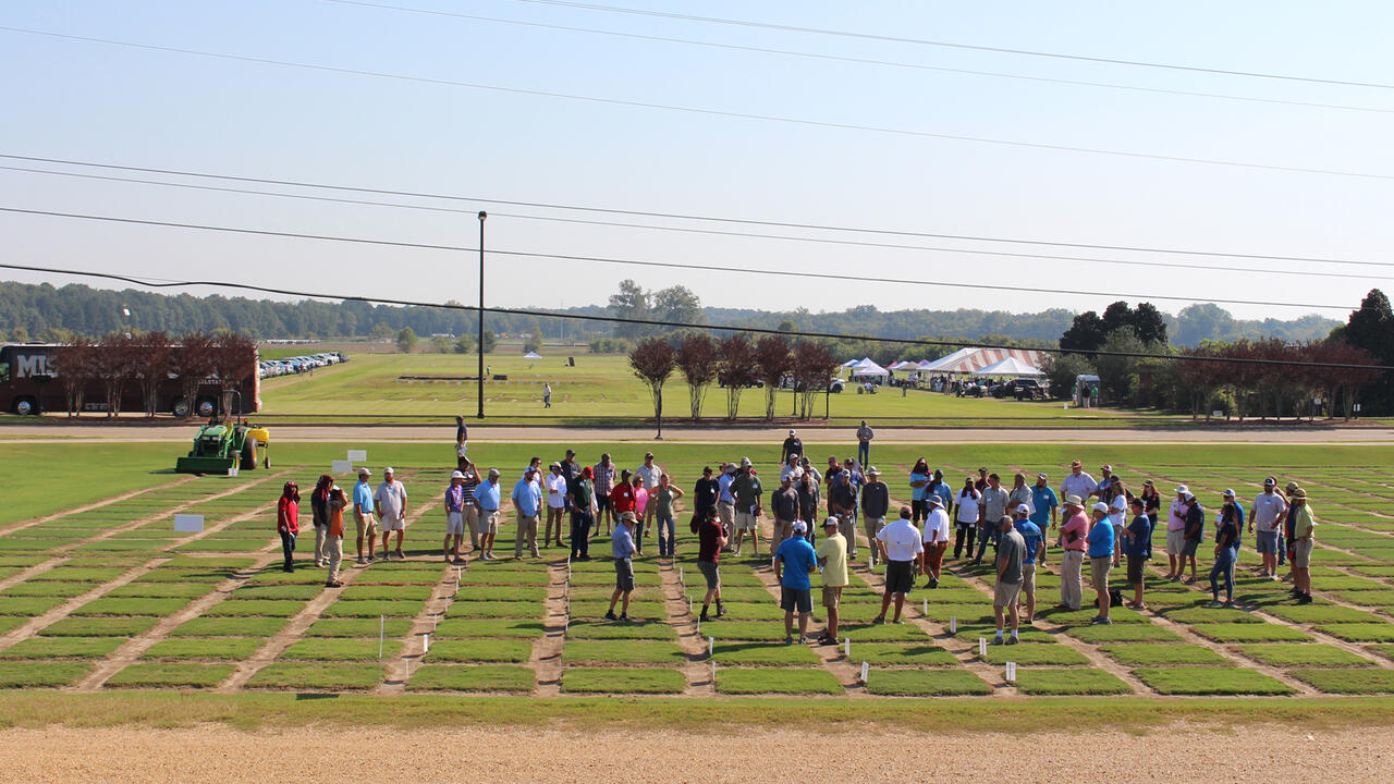 Dozens of people are scattered across a grassy field marked into squares.
