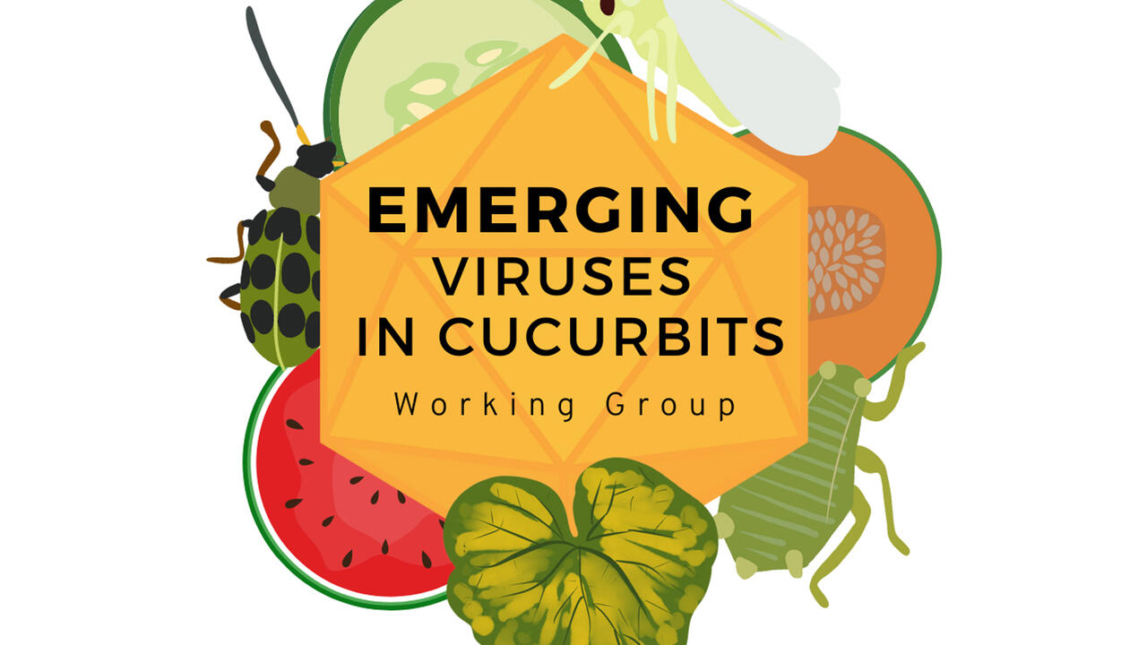 Emerging Viruses in Cucurbits Working Group logo.