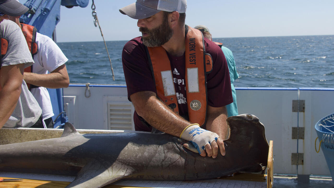 Marcus Drymon with a shark