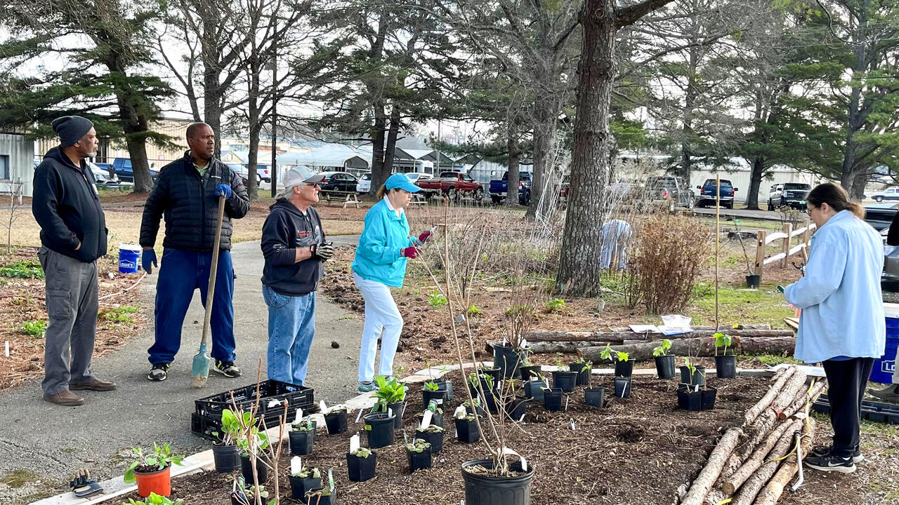 A small group of people work in a landscape.