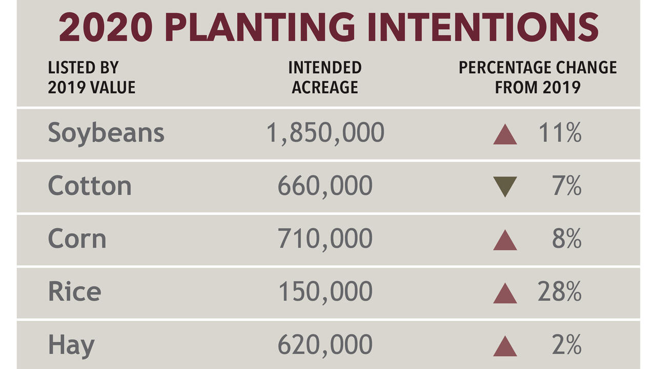 Graphic showing 2020 planting intentions