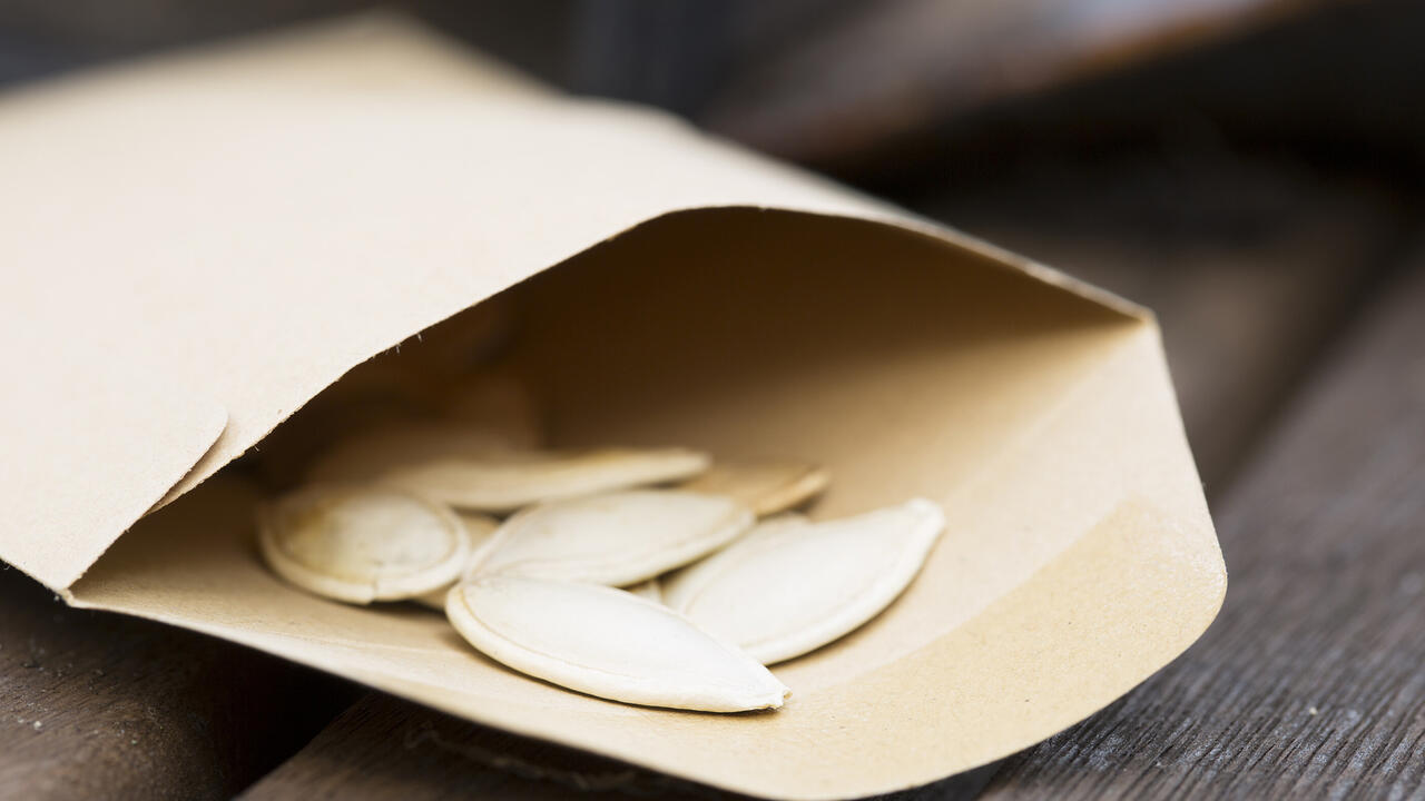 Large, flat seeds are visible inside a paper packet.