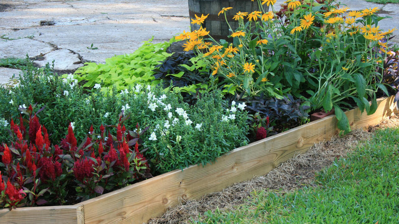 A variety of flowers are lined with wood.