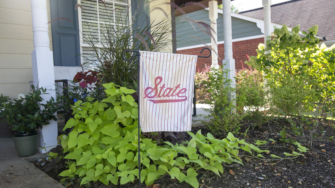 A garden flag stands in the landscape.