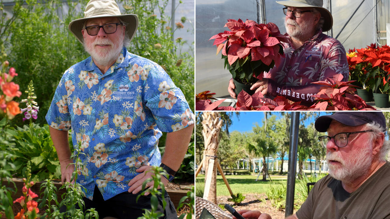 A collage shows a man in three different garden settings.