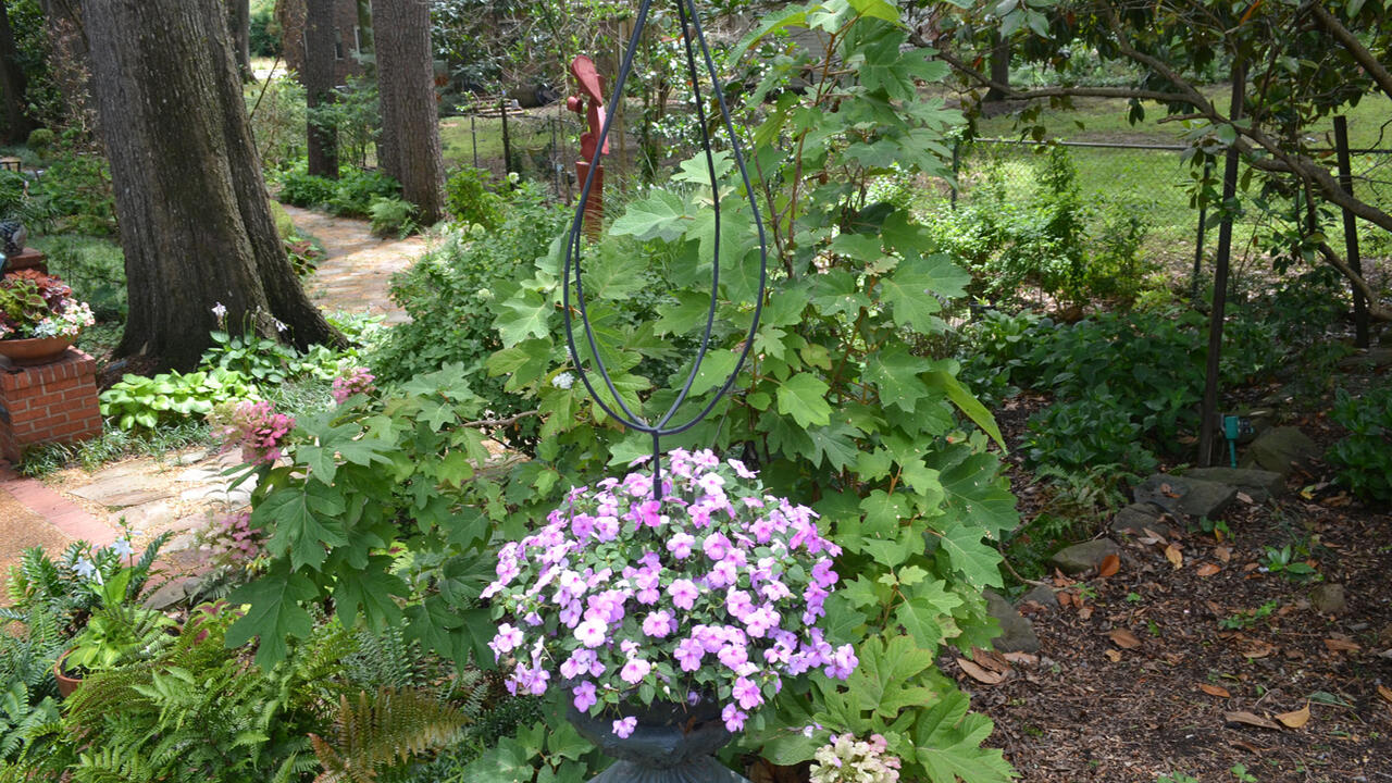 Purple flowers bloom from a container at the center of a garden.