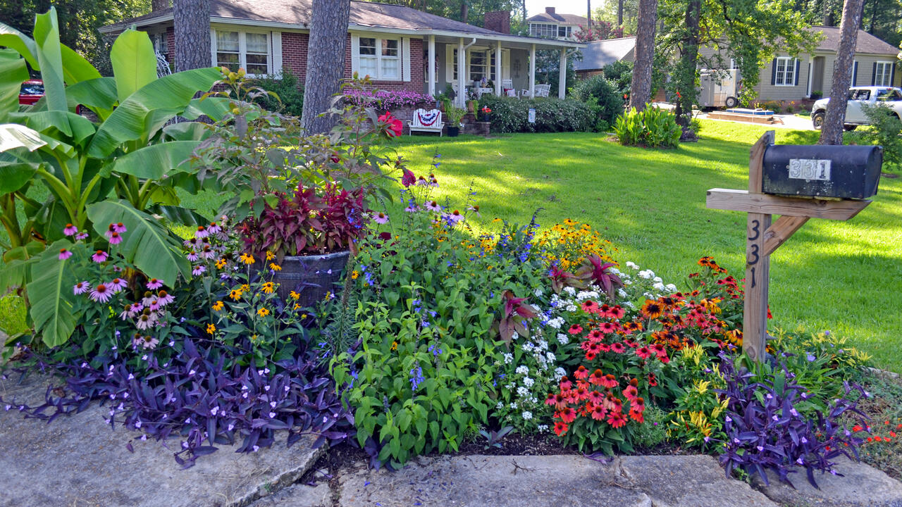 A mailbox stands at one end of a flower garden.