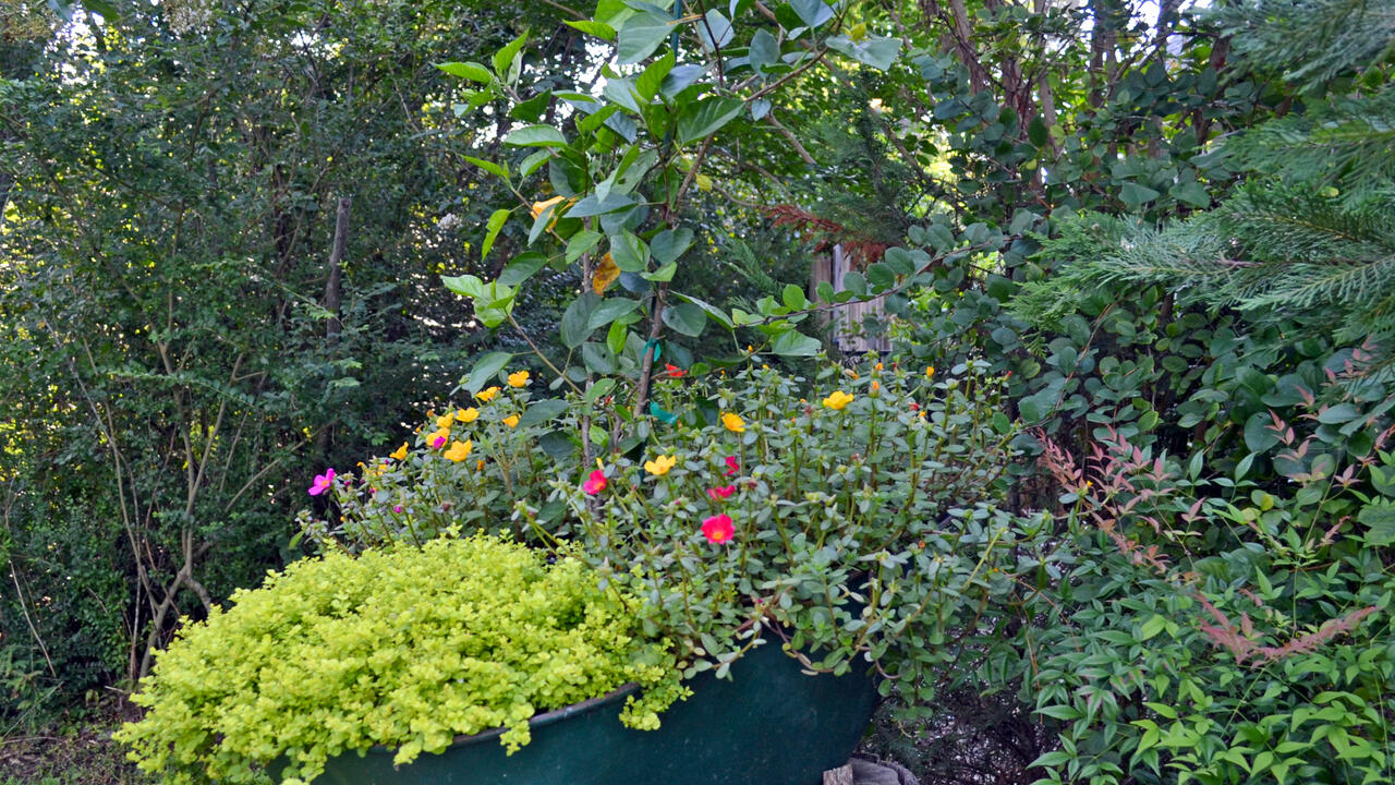 An old wheelbarrow filled with flowers sits on a tree stump.