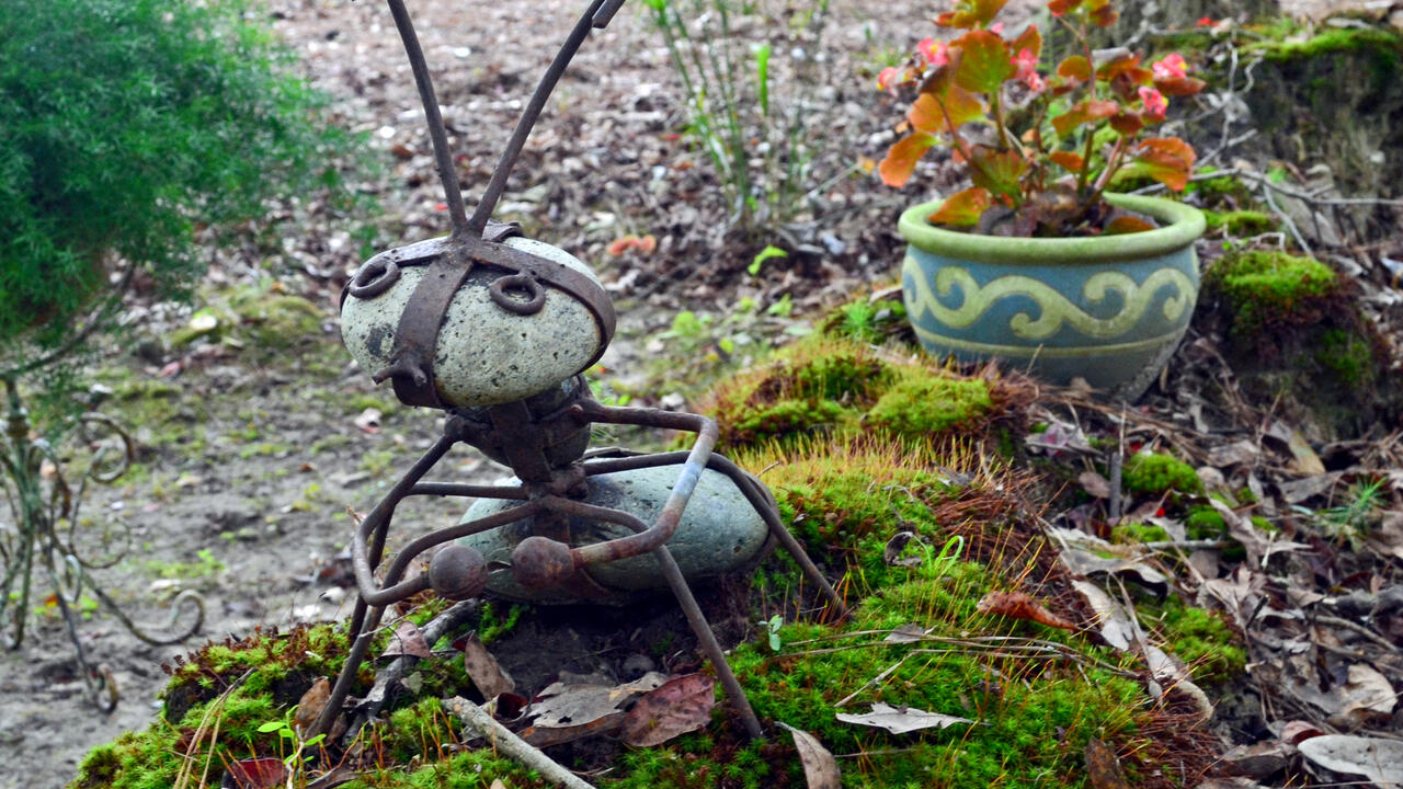 A stone and steel ant sculpture is beside a path through moss.