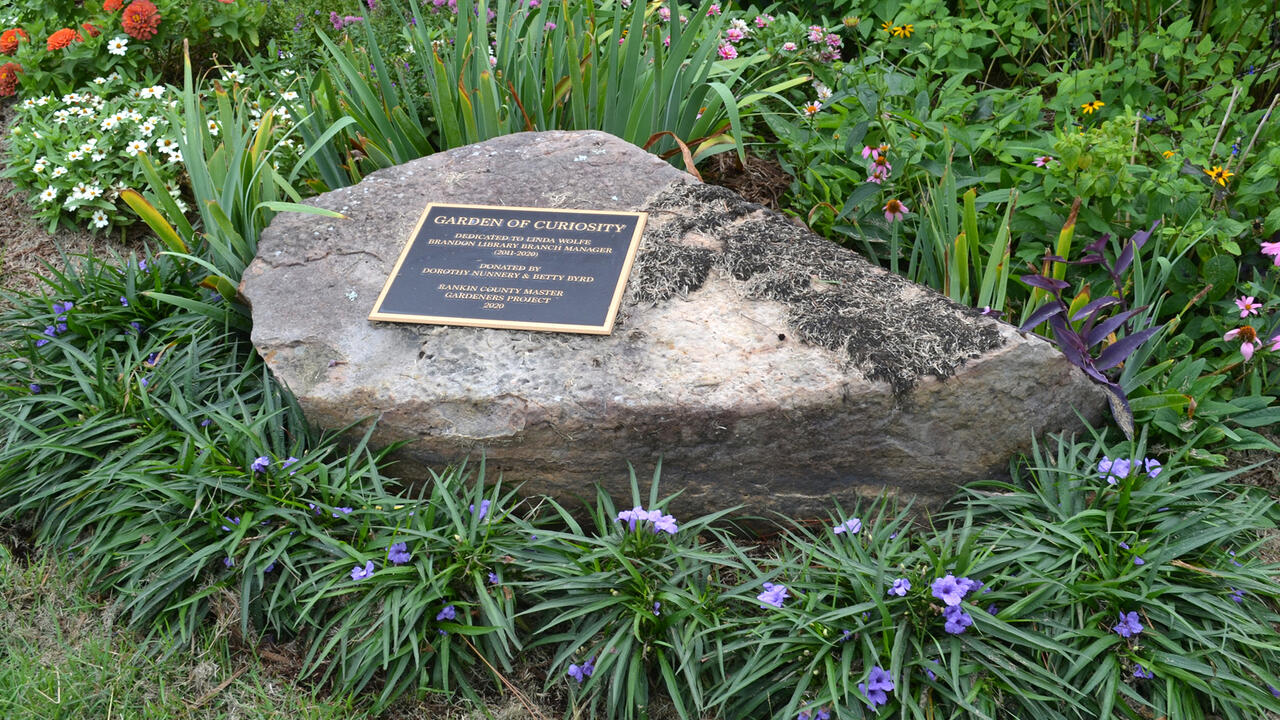 A stone with a plaque is surrounded by flowers in a garden.