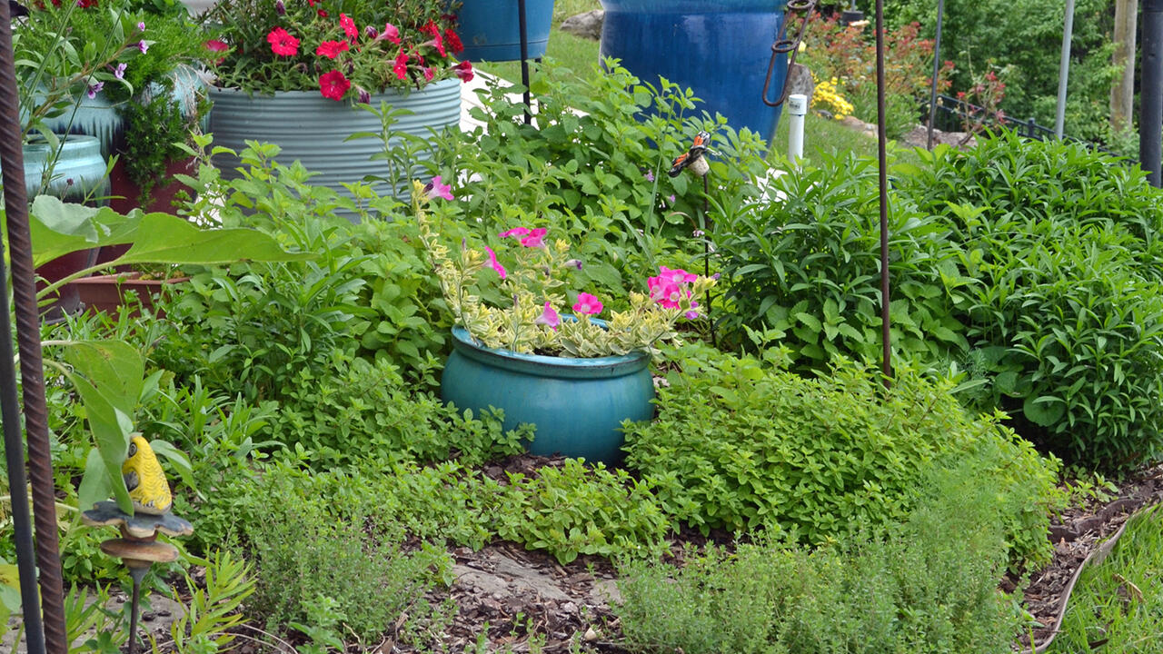 Blue containers hold plants in a landscape.