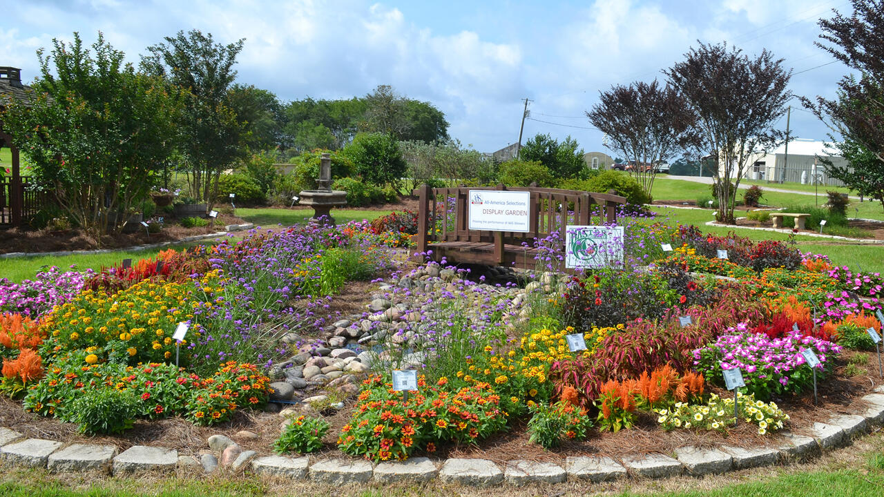A flower garden is circled by stones.