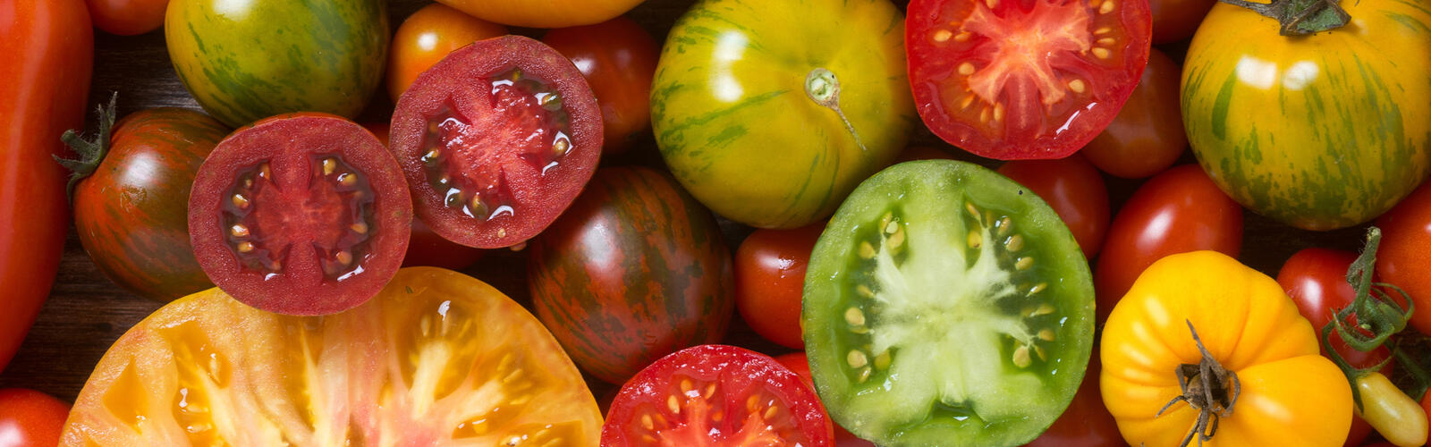 Colorful tomatoes