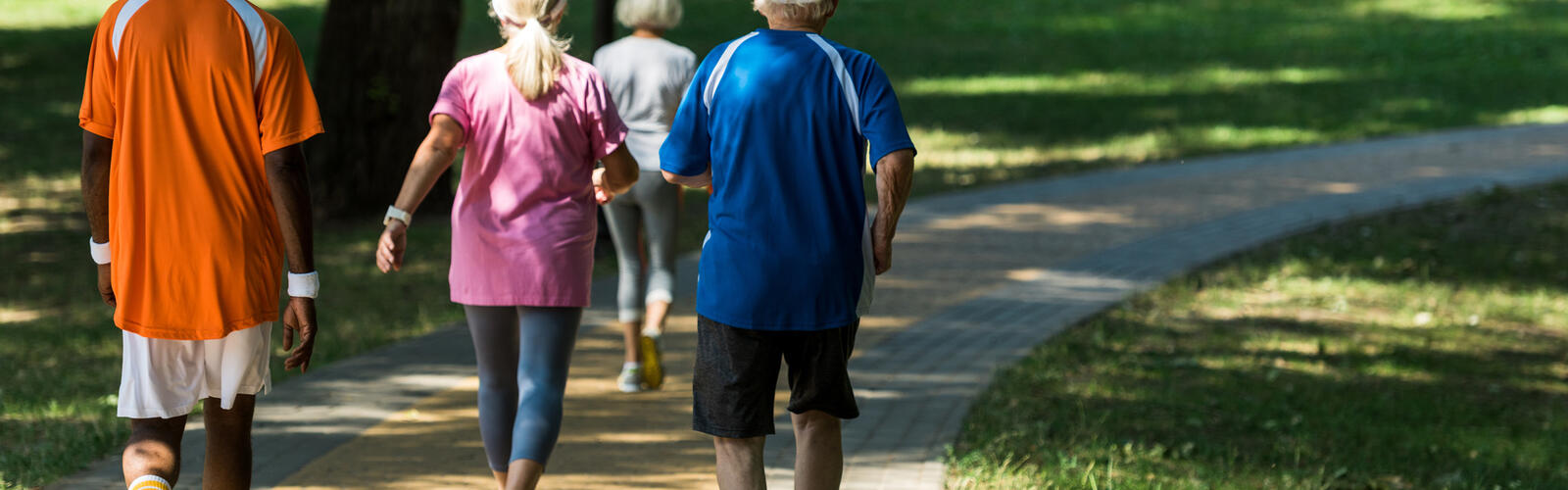 Four people walking in a park
