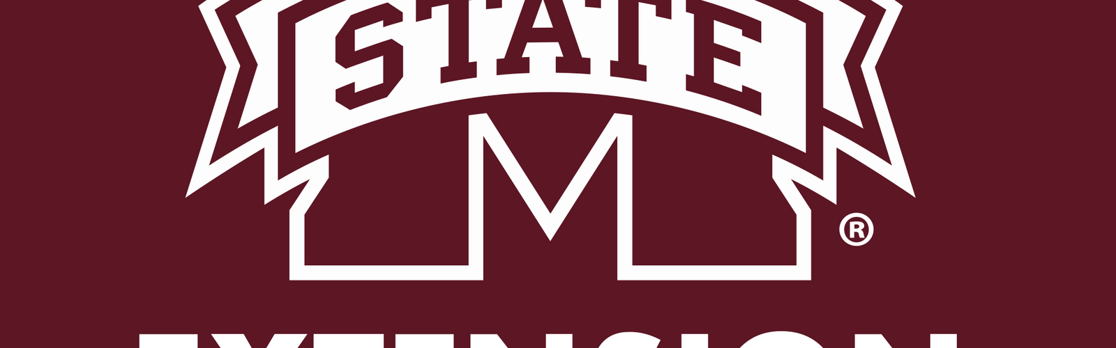MSU Extension logo