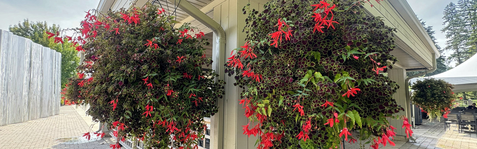 Two baskets hang from the eaves of a house.