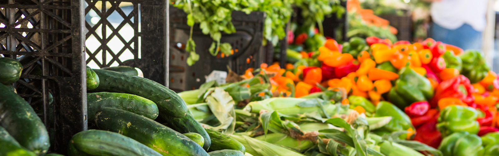 Produce at a local farmers market
