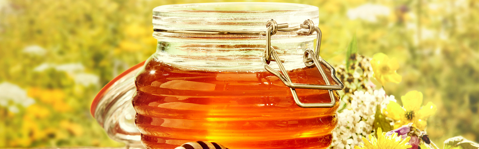Bowl of honey with dipper in a field of flowers