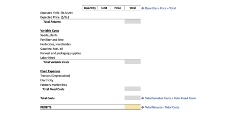 Example crop budget form with main categories of total returns, total variable costs, total fixed costs, total costs, and profits.