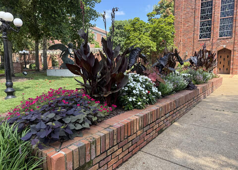 A red brick raised garden is filled with a variety of blooming plants.