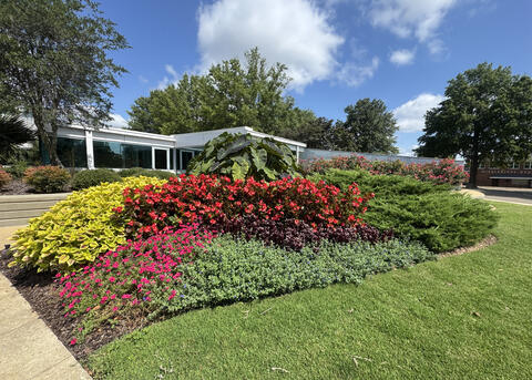 A landscape in front of a low building is full of blooms and foliage.