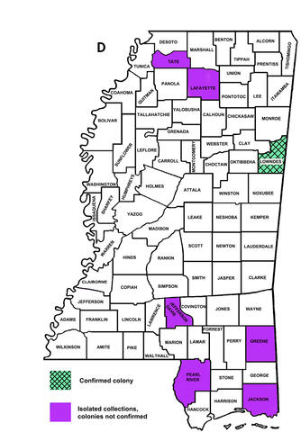 Map of Mississippi counties. Lowndes County has a confirmed colony of Asian needle ants. The following counties have isolated collections but no confirmed colonies: Tate, Lafayette, Jefferson Davis, Greene, Pearl River, and Jackson.
