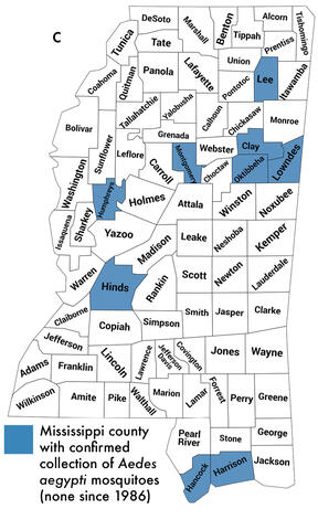 Mississippi map highlighting counties with confirmed collections of Aedes aegypti mosquitoes: Lee, Montgomery, Humphreys, Clay, Oktibbeha, Lowndes, Hinds, Hancock, and Harrison. None have been officially collected or confirmed in Mississippi since 1986.