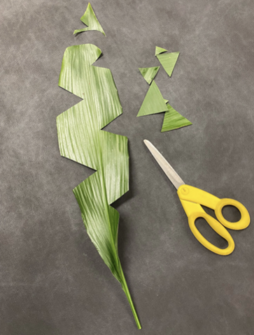 A leaf with triangle cutouts lay beside its cutout pieces and a pair of shears.
