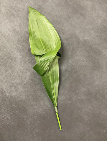 A leaf’s torn edges are wrapped around the leaf itself.