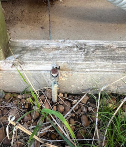 A rod sticking up from the ground with acorns and rocks all around.