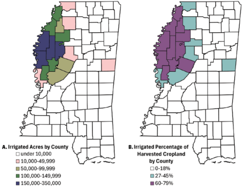 See "Figure 2a data table. Irrigated acres by county in Mississippi as of 2022" and "Figure 2b data table. Irrigated percentage of harvested cropland by county in Mississippi as of 2022" in the Related Files document.