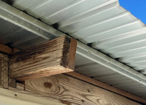 Metal purlin and wood truss tails under a metal roof.