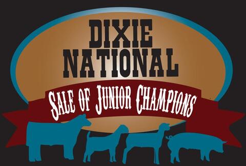Dixie National Sale of Junior Champions logo