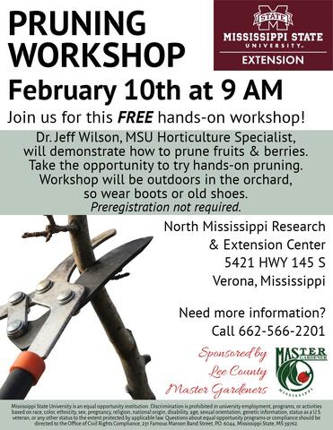 Pruners next to a tree limb