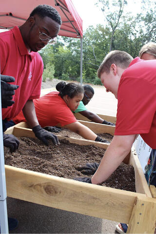 People wearing gloves smooth out soil in a wooden raised garden bed.