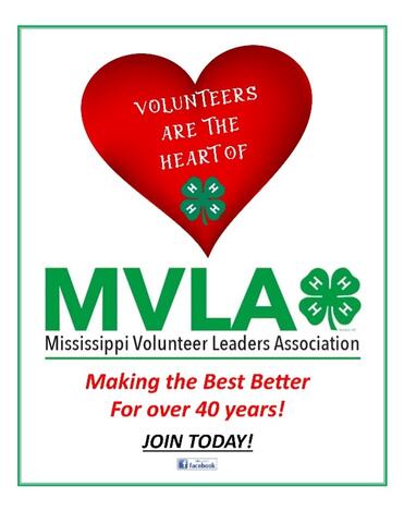 MVLA - Making the Best Better for over 40 years