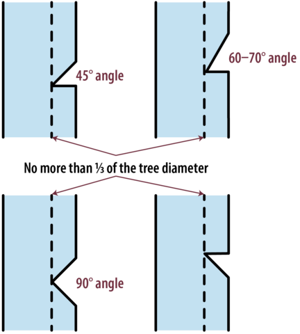 Four diagrams of side views on trees show the different angles of wedges for face cuts. For each angle (45-degree, 60- to -70-degree, 90-degree, and an inverse 45-degree angle), the face cut should not be more than 1/3 of the diameter of the tree.