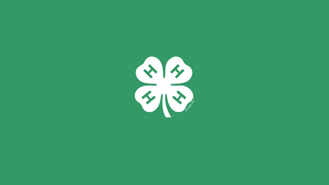 White 4-H Logo on Green Banner