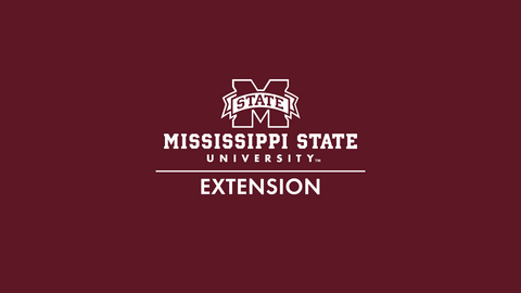 White MSU Extension Logo on Maroon Banner