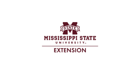 Maroon MSU Extension Logo on White Banner