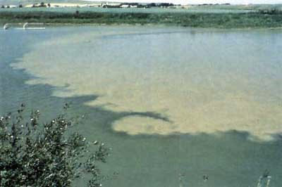 A body of water with a large area in the center that is lighter than the rest of the water.